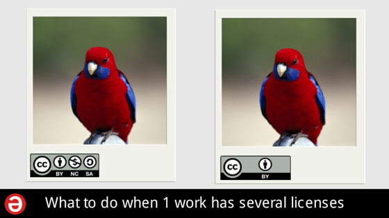 What to do when one work has several licenses | Safe Creative